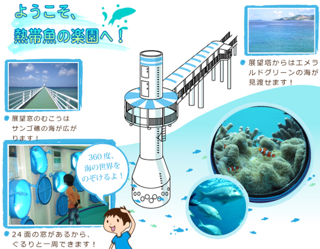 日本 沖繩景點 Underwater Observatory 海中展望塔 Q比這一家 痞客邦