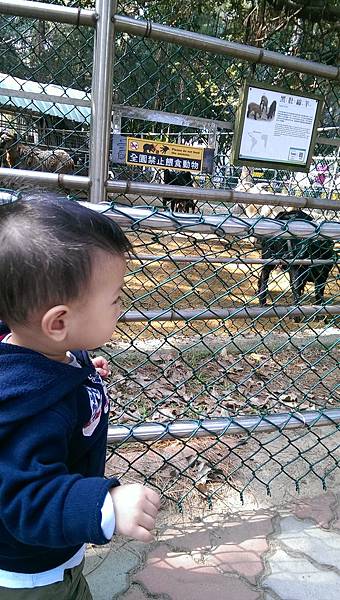 Q比和媽媽的動物園之旅