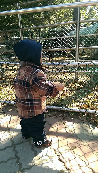 怎麼又是動物園!!!