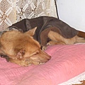 CIMG4530.JPG