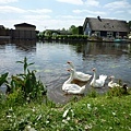P1010198.JPG