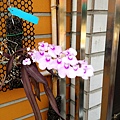 紫色蘭花101.03.30