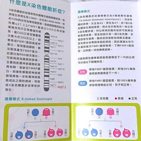 20190524-嘉基產前檢查自費項目-X染色體脆折症.jpg 20190524-嘉基產前檢查自費項目-X染色體脆折症.jpg