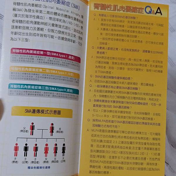 20190524-嘉基產前檢查自費項目-SMA.jpg 20190524-嘉基產前檢查自費項目-SMA.jpg