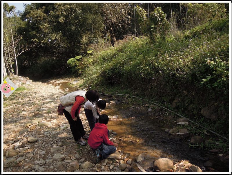 草湳濕地農場露營072.JPG