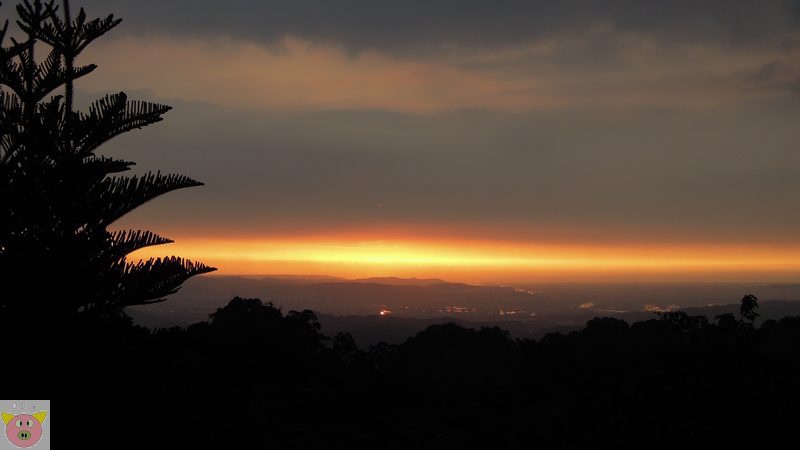 1030726雲山農莊.三峽老街078.JPG