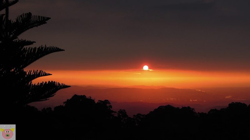 1030726雲山農莊.三峽老街081.JPG