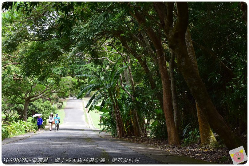 1040820面海露營。墾丁國家森林遊樂區。櫻花渡假村DSC_2711.JPG