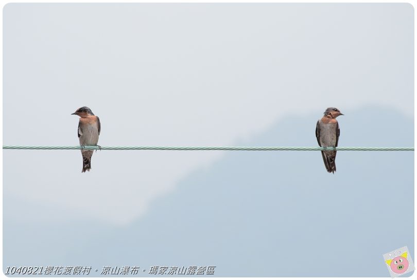 1040821櫻花渡假村。涼山瀑布。瑪家涼山露營區DSC_2879.JPG 1040821櫻花渡假村。涼山瀑布。瑪家涼山露營區DSC_2879.JPG