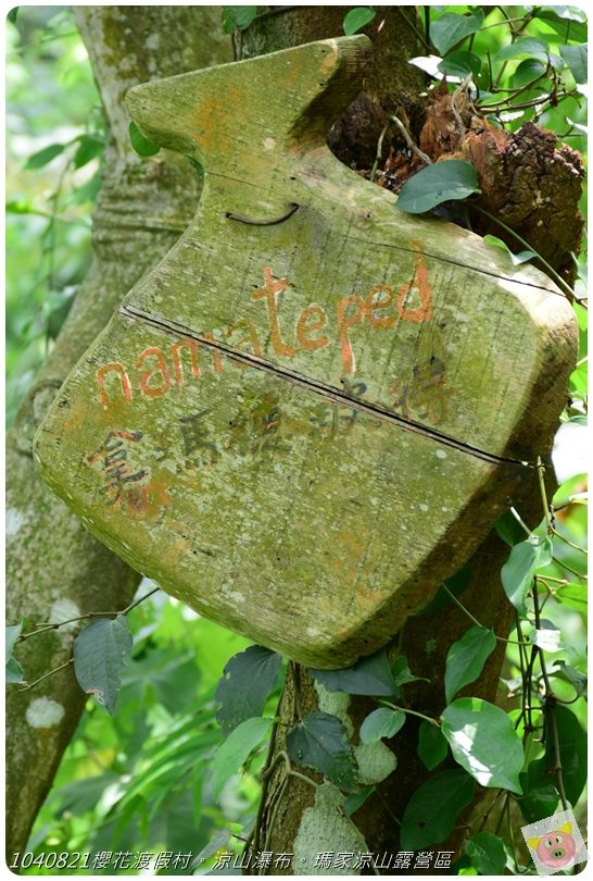 1040821櫻花渡假村。涼山瀑布。瑪家涼山露營區DSC_2956.JPG 1040821櫻花渡假村。涼山瀑布。瑪家涼山露營區DSC_2956.JPG