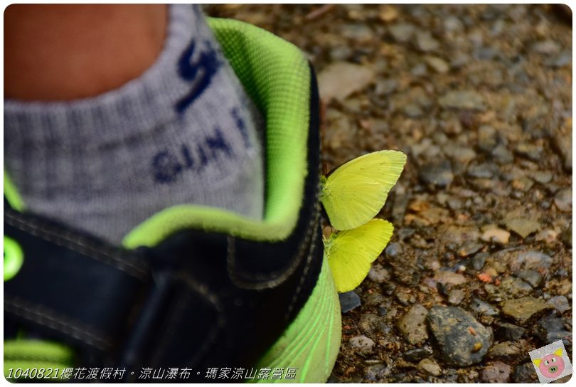 1040821櫻花渡假村。涼山瀑布。瑪家涼山露營區DSC_3034.JPG