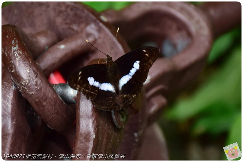 1040821櫻花渡假村。涼山瀑布。瑪家涼山露營區DSC_3043.JPG 1040821櫻花渡假村。涼山瀑布。瑪家涼山露營區DSC_3043.JPG