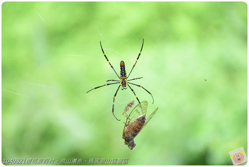 1040821櫻花渡假村。涼山瀑布。瑪家涼山露營區DSC_3052.JPG 1040821櫻花渡假村。涼山瀑布。瑪家涼山露營區DSC_3052.JPG