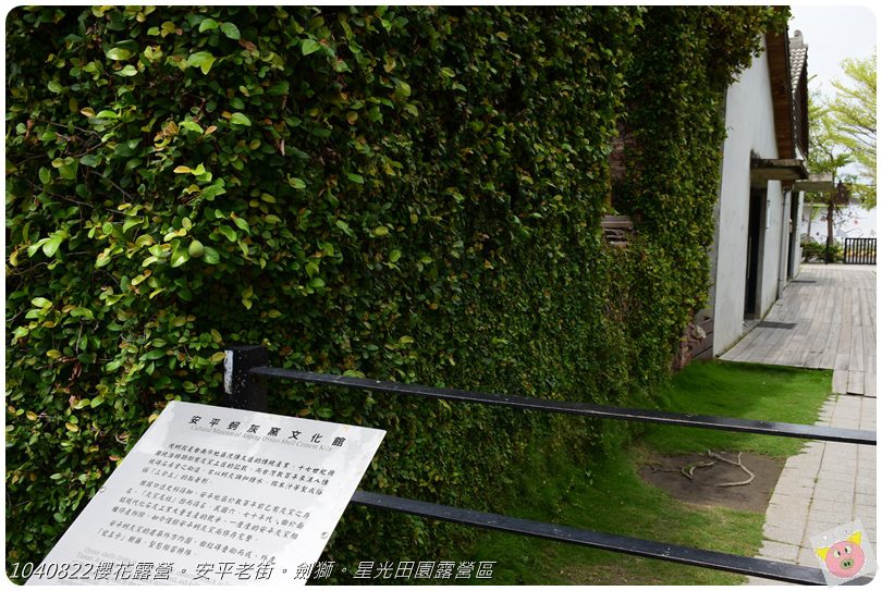 1040822櫻花露營。安平老街。劍獅。星光田園露營區DSC_3185.JPG 1040822櫻花露營。安平老街。劍獅。星光田園露營區DSC_3185.JPG