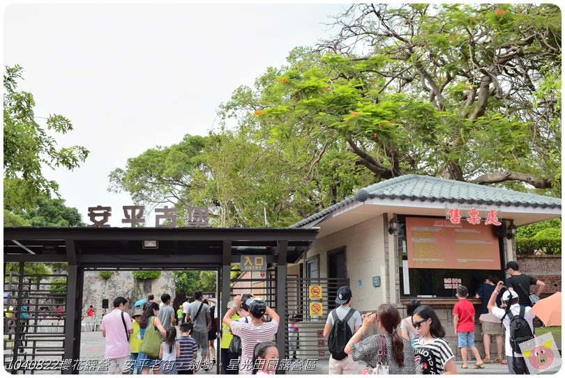 1040822櫻花露營。安平老街。劍獅。星光田園露營區DSC_3262.JPG 1040822櫻花露營。安平老街。劍獅。星光田園露營區DSC_3262.JPG