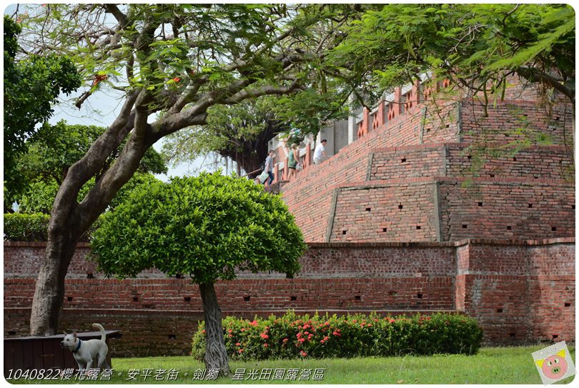 1040822櫻花露營。安平老街。劍獅。星光田園露營區DSC_3270.JPG 1040822櫻花露營。安平老街。劍獅。星光田園露營區DSC_3270.JPG