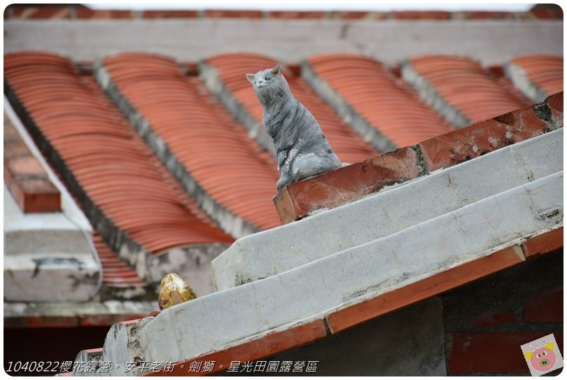 1040822櫻花露營。安平老街。劍獅。星光田園露營區DSC_3337.JPG