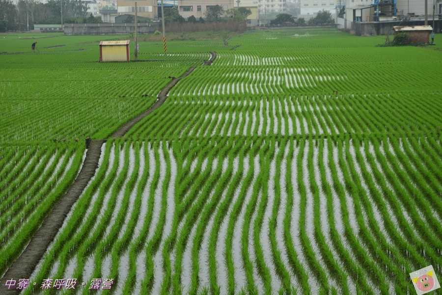 森呼吸露營DSC_7237-053.JPG