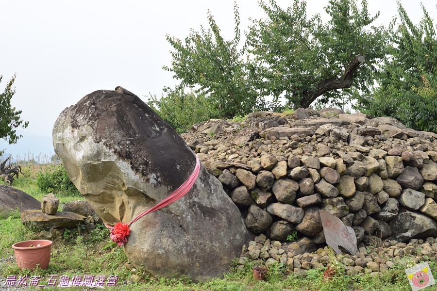 石龜梅園DSC_0296.JPG