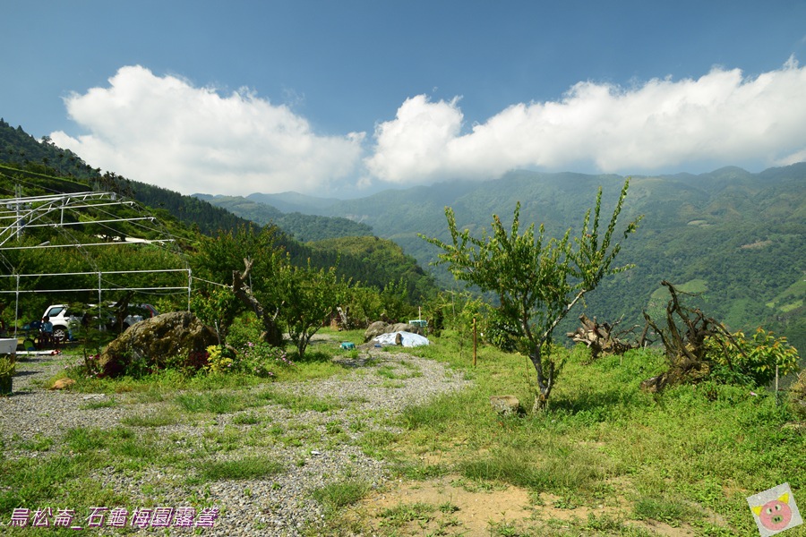 石龜梅園DSC_0508.JPG