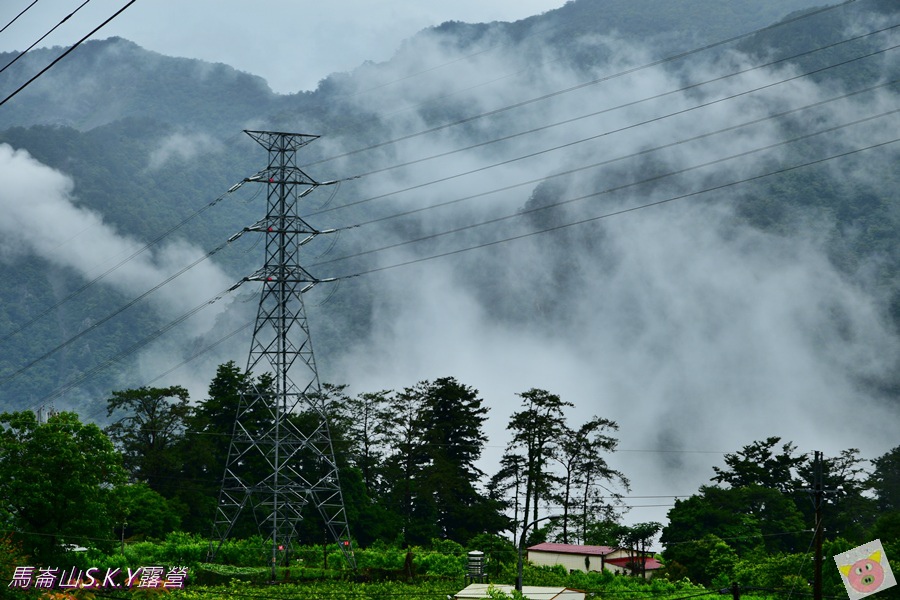 馬崙山SKYDSC_1580.JPG