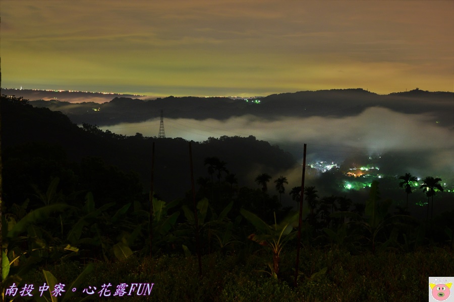 心花露FUNDSC_1937.JPG