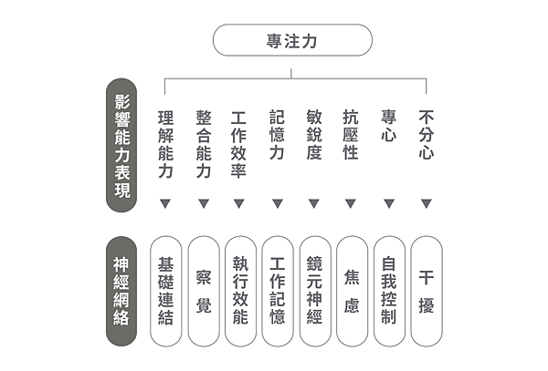 專注力分析圖