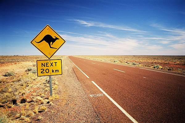 Kangaroo-warning-road-sign.jpg