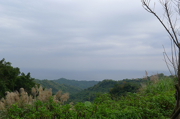 至高點的海景