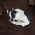 DSC04739.JPG