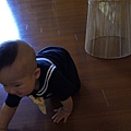 DSC04745.JPG