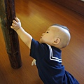 DSC04746.JPG