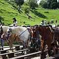 DSC04793.JPG