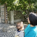 DSC08937.JPG