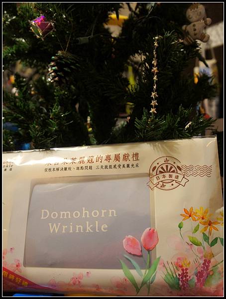 DSC09720.JPG DSC09720.JPG