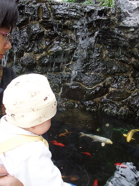 看管理員叔叔餵魚