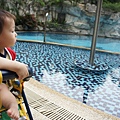 DSC04323.JPG