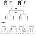 複賽賽程表