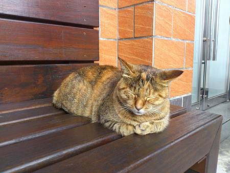 猴硐 猴硐