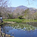 強羅水生植物園