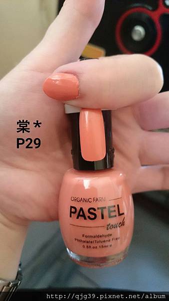 PASTEL P29