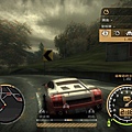 NFS9