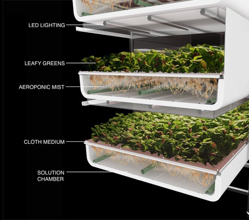 Aeroponics1.jpg