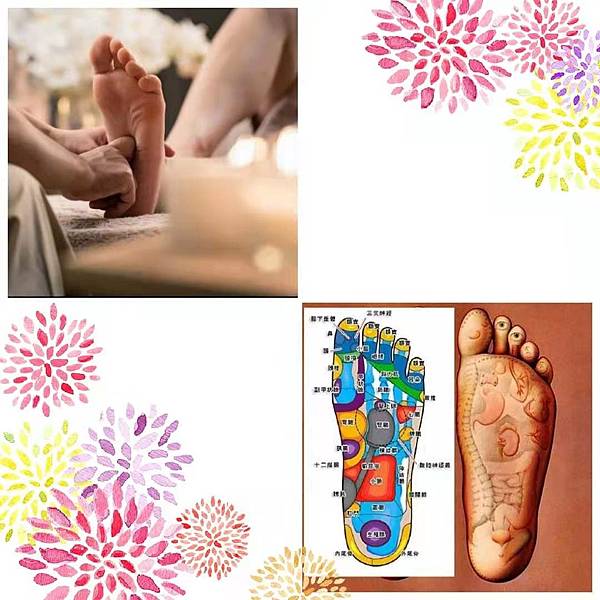 d8389a86342ae0267b488bbb6a434dc