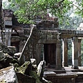 Ta Prohm_5