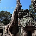 Ta Prohm_10