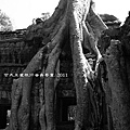 Ta Prohm_20