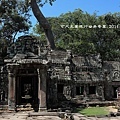 Ta Prohm_22