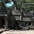 Ta Prohm_27