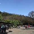 Yangmingshan_21